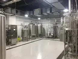 Purified Water System for a Russian Medical Equipment Manufacturer (2022)