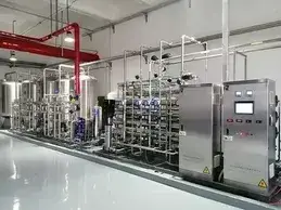 Purified Water System for a Russian Medical Equipment Manufacturer (2022)