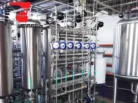 Purified Water System (PW Generation)