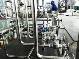 Pure Steam Generator